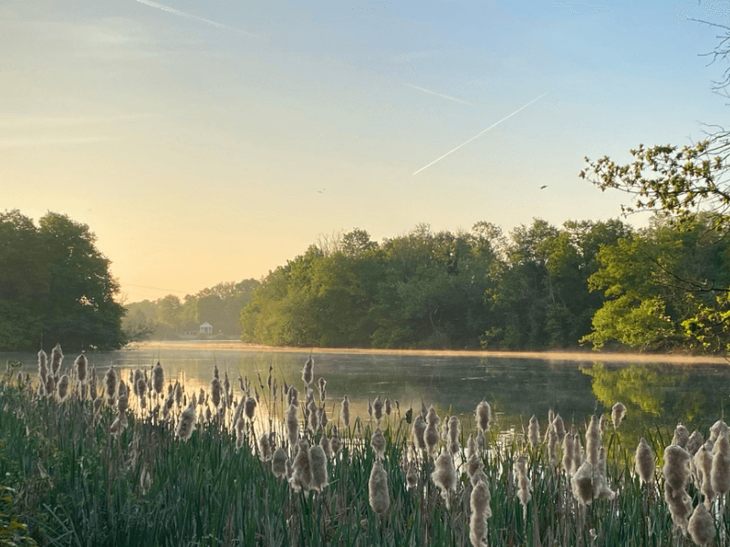 Wanstead, Outer London